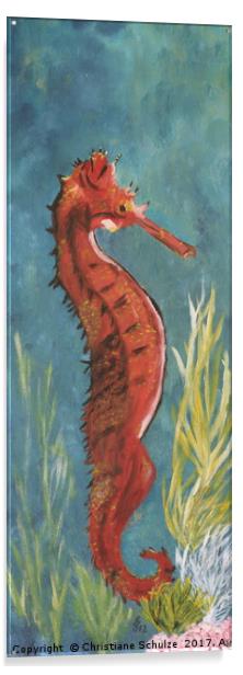 Red Seahorse Acrylic by Christiane Schulze