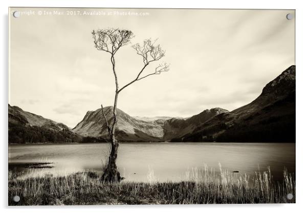 Buttermere Acrylic by The Tog