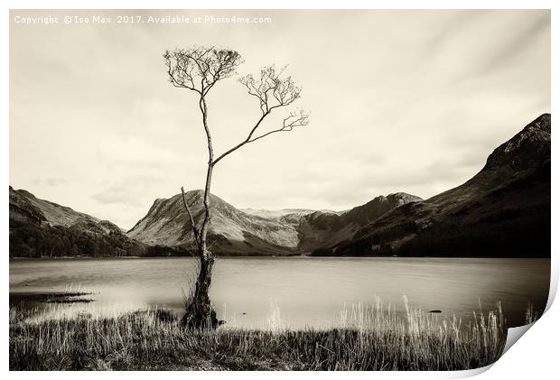 Buttermere Print by The Tog