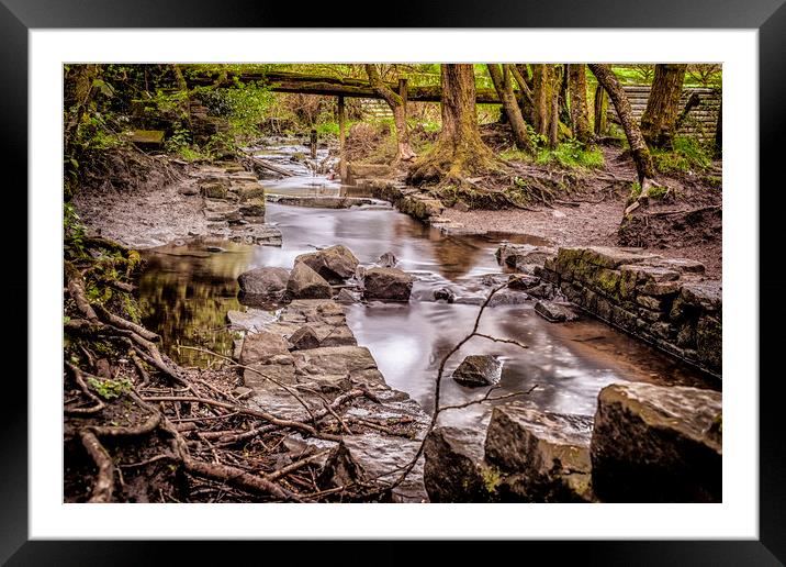 Dow Lane Stream Framed Mounted Print by Jonathan Thirkell