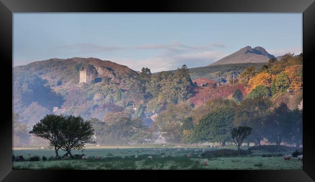 Dolwyddelan in the autumn Framed Print by Rory Trappe