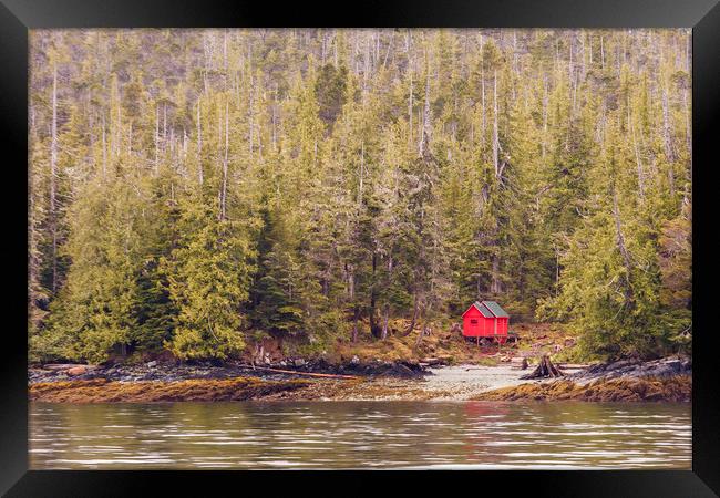 Red Cabin on Edge of Alaskan Waterway in Evergreen Framed Print by Darryl Brooks