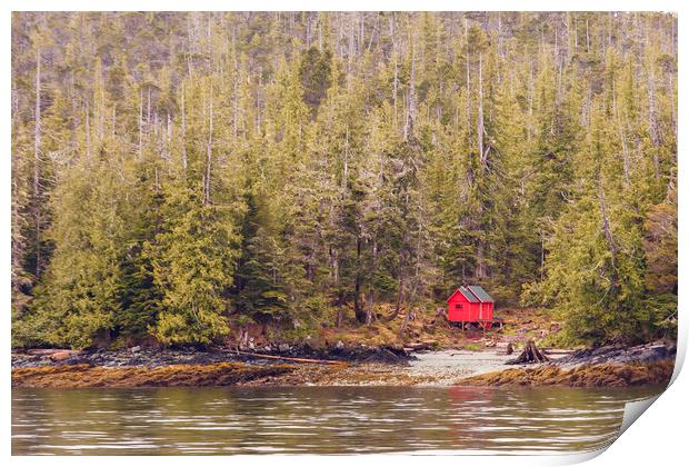 Red Cabin on Edge of Alaskan Waterway in Evergreen Print by Darryl Brooks