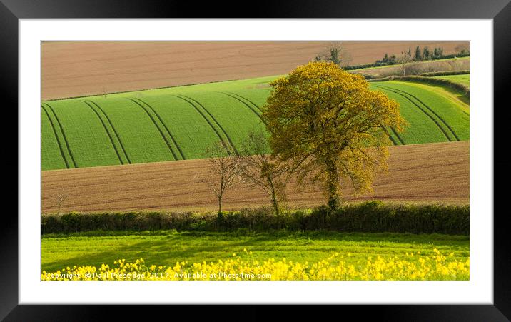 Devon Landscape near Exeter Framed Mounted Print by Paul F Prestidge