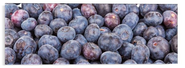 Closeup Blueberries Horizontal Acrylic by Darryl Brooks