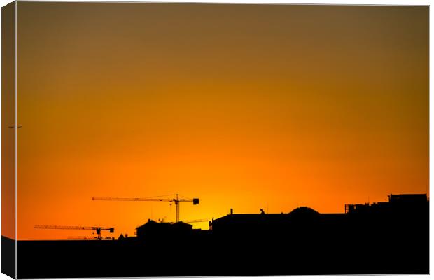 Two Cranes at Sunset Canvas Print by Darryl Brooks