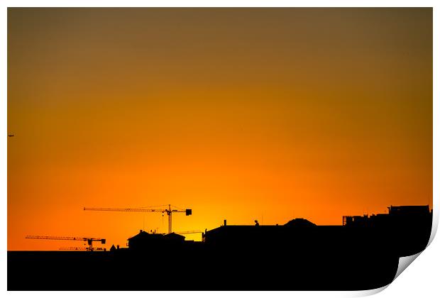 Two Cranes at Sunset Print by Darryl Brooks