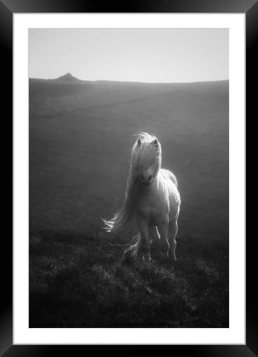 Wild Pony In The Brecon Beacons  Framed Mounted Print by Simon Rees