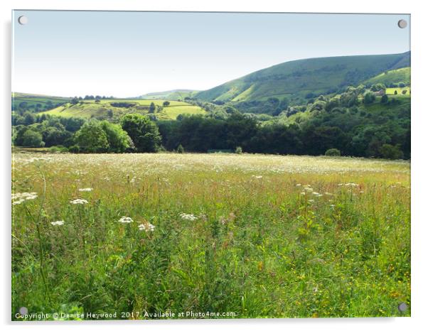 Flower meadow in The Peaks Acrylic by Denise Heywood