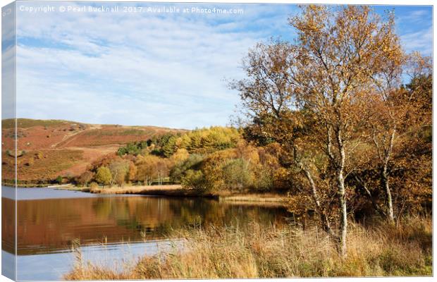 Llyn Geirionydd lake in Autumn Canvas Print by Pearl Bucknall