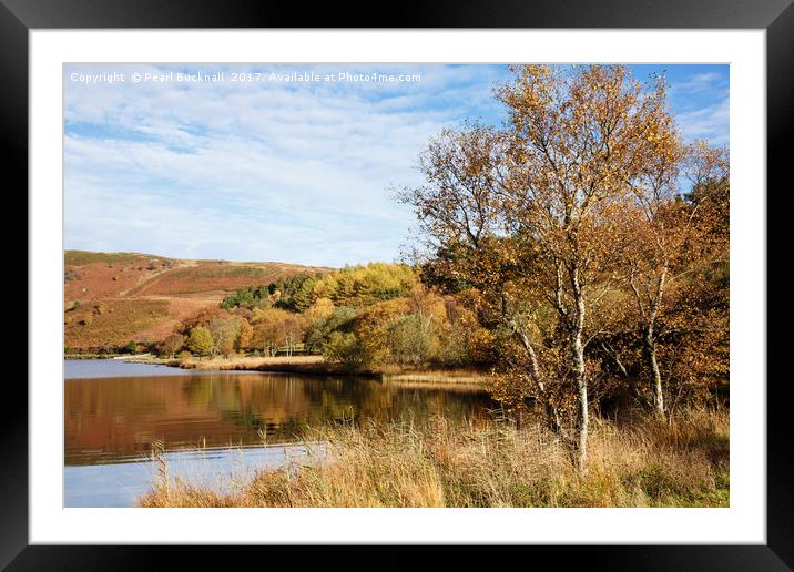 Llyn Geirionydd lake in Autumn Framed Mounted Print by Pearl Bucknall