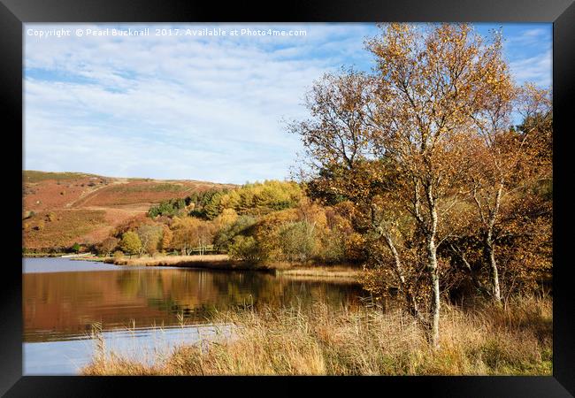 Llyn Geirionydd lake in Autumn Framed Print by Pearl Bucknall
