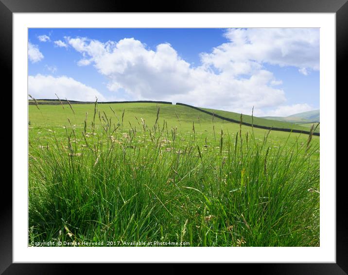 Grassy Hill Framed Mounted Print by Denise Heywood
