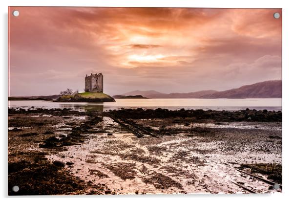 Castle Stalker, Argyll, Scotland Acrylic by Scott Taylor