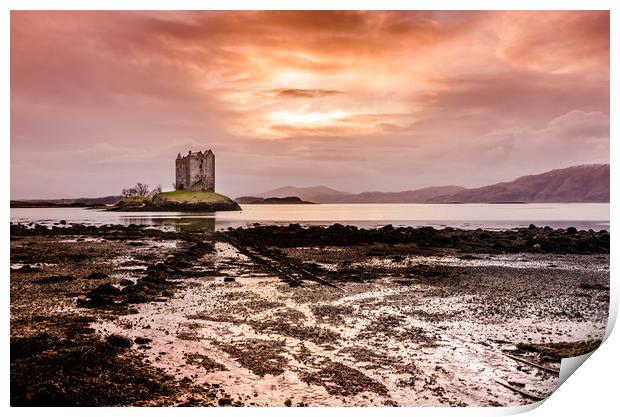 Castle Stalker, Argyll, Scotland Print by Scott Taylor