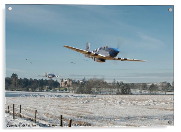 P51 Mustang - Bodney Blue Noses Acrylic by Pat Speirs