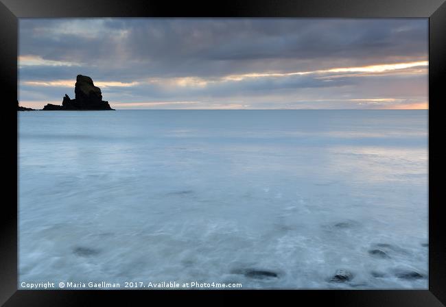 Talisker Point Sea Stack at Sunset Framed Print by Maria Gaellman