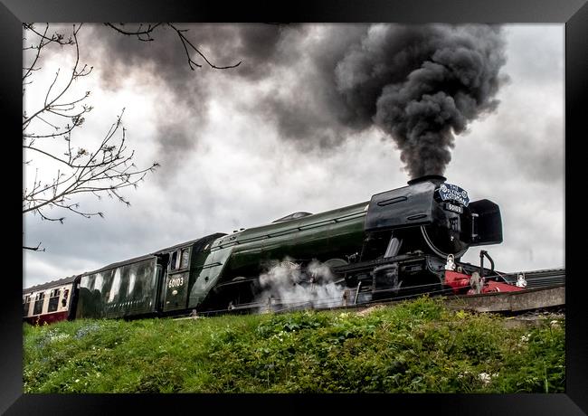 The Flying Scotsman at the Bluebell Railway Framed Print by Simon Hackett