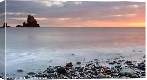 Talisker Point at Sunset Canvas Print by Maria Gaellman