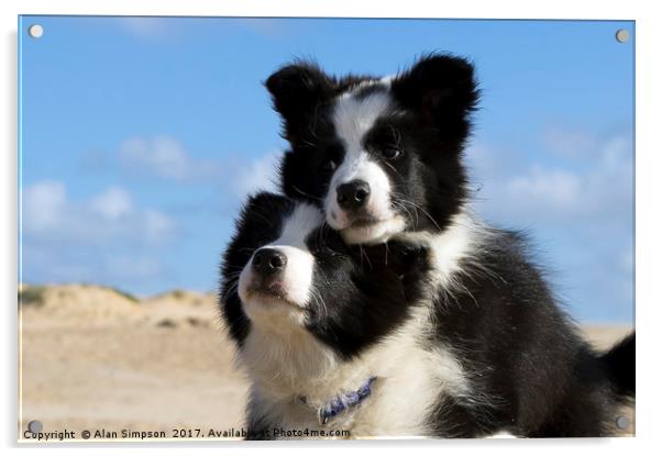 Sam and Chance Acrylic by Alan Simpson