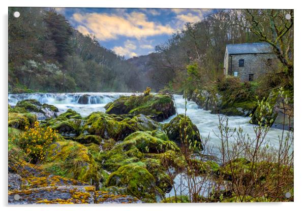 Cenarth Mill and Falls, Ceredigion, Wales, UK Acrylic by Mark Llewellyn