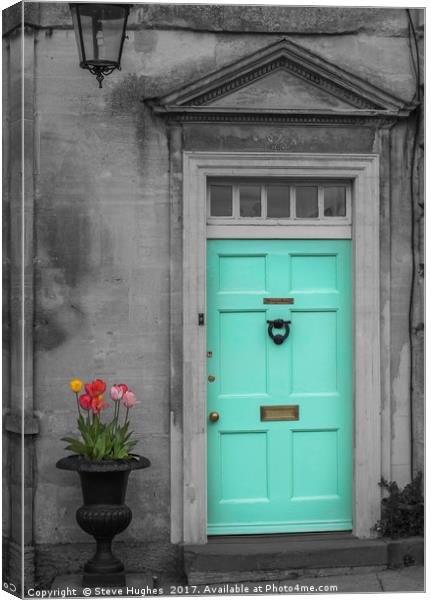 Turquise Front door and Tulips Canvas Print by Steve Hughes