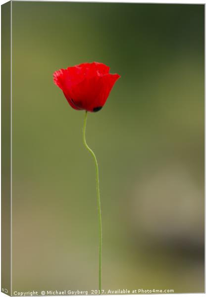 Poppy Impression Canvas Print by Michael Goyberg