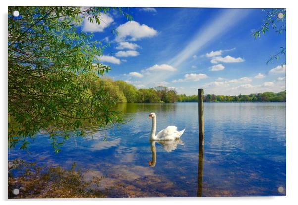 Springtime across the lake                         Acrylic by Sue Bottomley