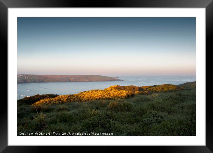 Pentire Headland Sunrise Framed Mounted Print by Diane Griffiths
