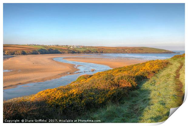 Pentire Headland and Crantock Beach Print by Diane Griffiths
