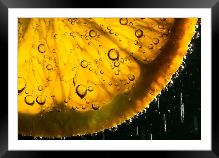 Cheers Framed Mounted Print by Philip Male