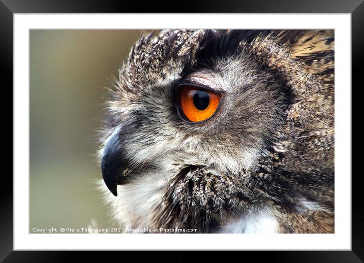 Closeup portrait of a European Eagle Owl  Framed Mounted Print by Piers Thompson