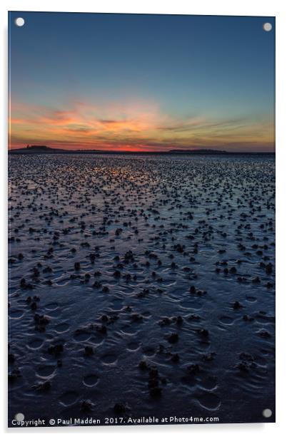 Sunset across the wet sand Acrylic by Paul Madden