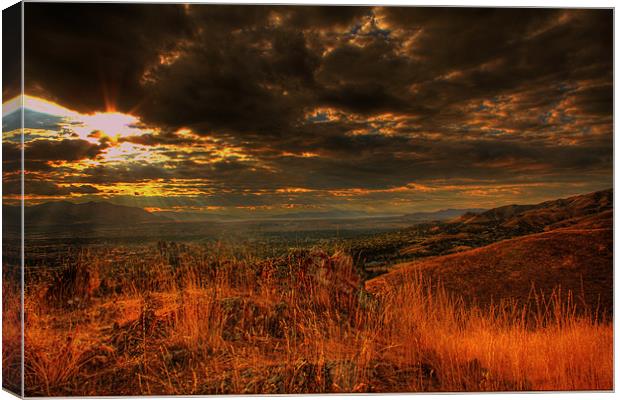 Dusk Canvas Print by Viraj Nagar