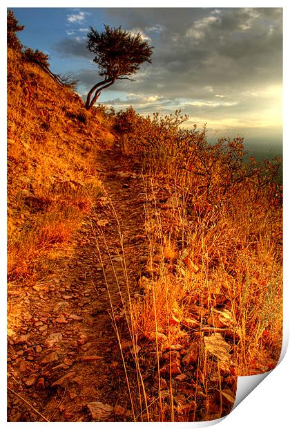 The Trail 2 Print by Viraj Nagar