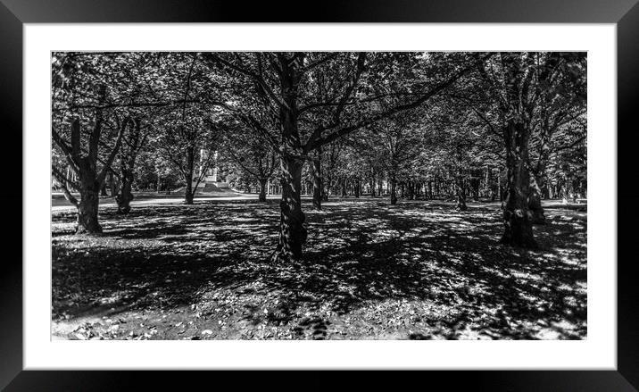 Sunny Day Framed Mounted Print by Michael Goyberg