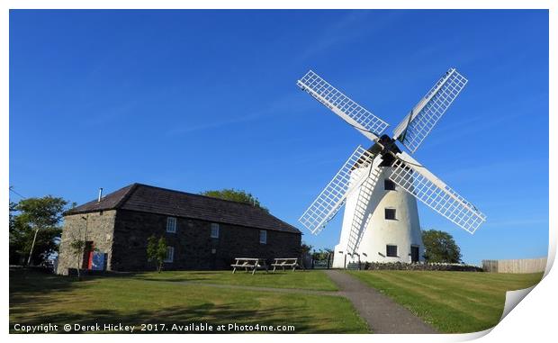 Llynnon Mill, Anglesey                             Print by Derek Hickey