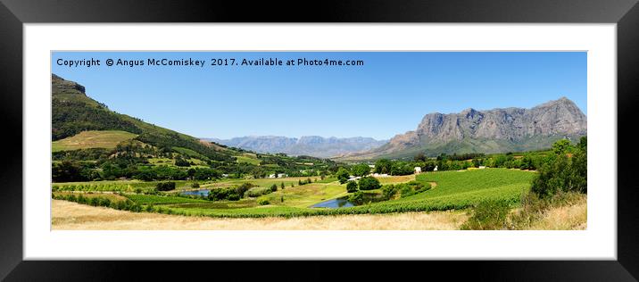 Stellenbosch panorama Framed Mounted Print by Angus McComiskey