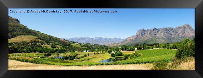 Stellenbosch panorama Framed Print by Angus McComiskey