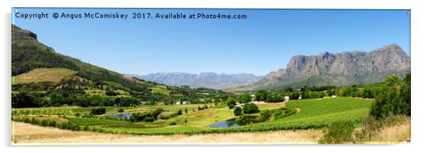 Stellenbosch panorama Acrylic by Angus McComiskey