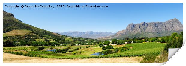 Stellenbosch panorama Print by Angus McComiskey