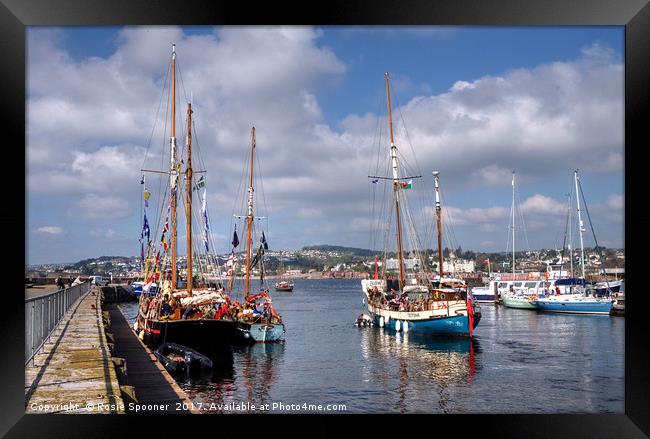 Tall Ships and Small Ships at Torquay Harbour Framed Print by Rosie Spooner