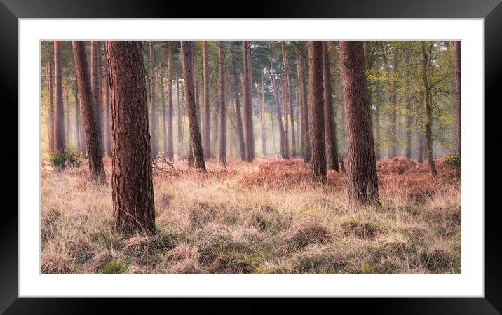 Morning Light Framed Mounted Print by Chris Frost