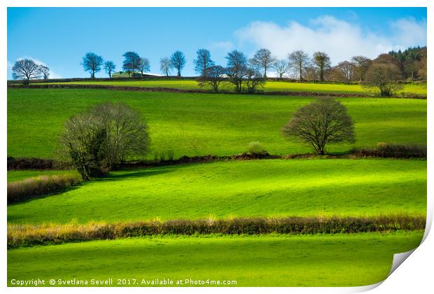 Fields of Devon Print by Svetlana Sewell