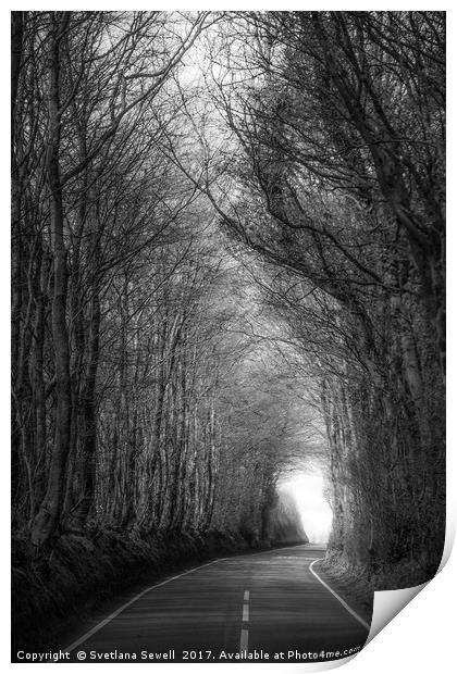 Shadow of Trees Print by Svetlana Sewell