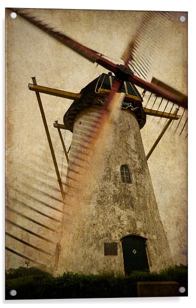 Brassers Mill, Biggekerke (Netherlands) Acrylic by George Parapadakis
