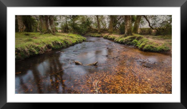 Woodland River Framed Mounted Print by Kevin Browne