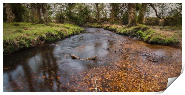 Woodland River Print by Kevin Browne