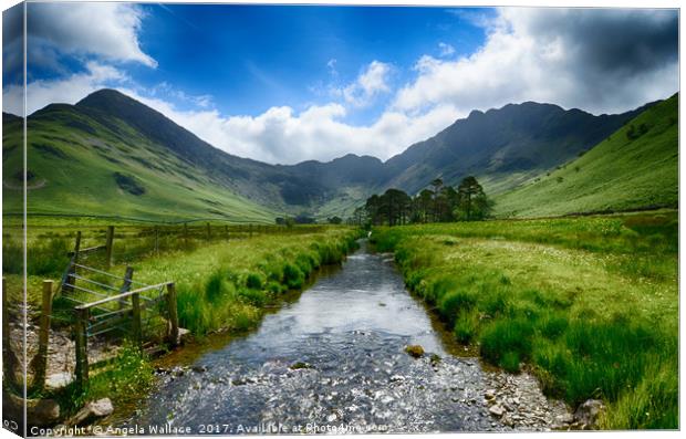 Buttermere Valley           Canvas Print by Angela Wallace