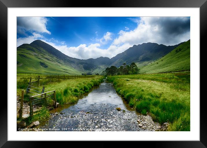 Buttermere Valley           Framed Mounted Print by Angela Wallace